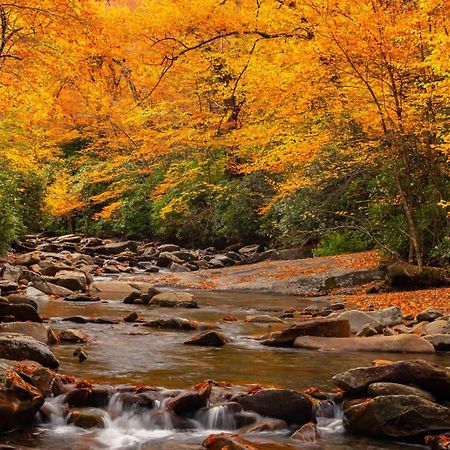 Peace, Serenity & Relaxation In The Smokies! Gatlinburg Buitenkant foto