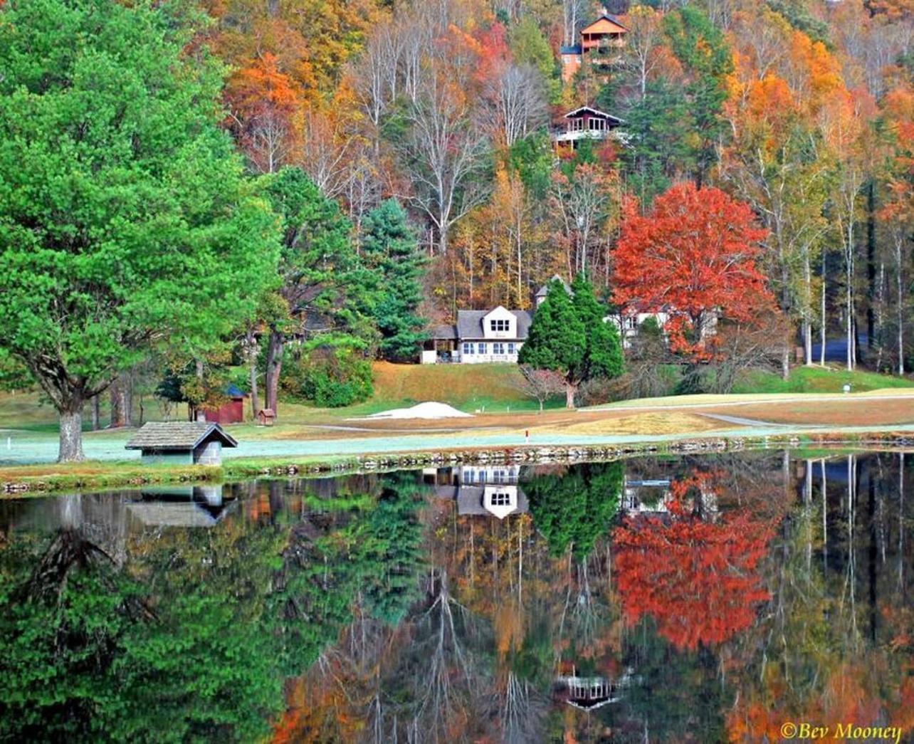 Peace, Serenity & Relaxation In The Smokies! Gatlinburg Buitenkant foto