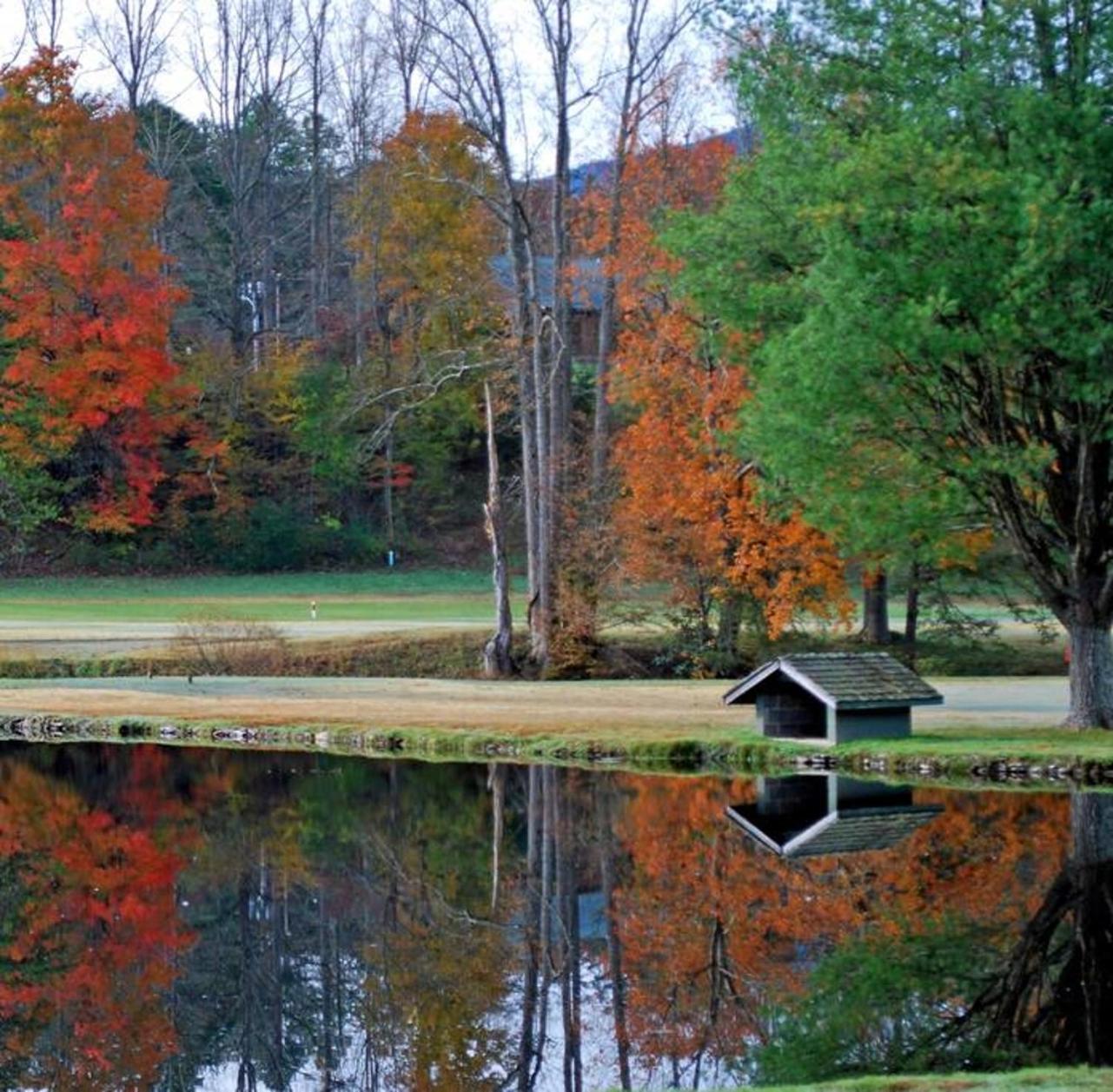 Peace, Serenity & Relaxation In The Smokies! Gatlinburg Buitenkant foto