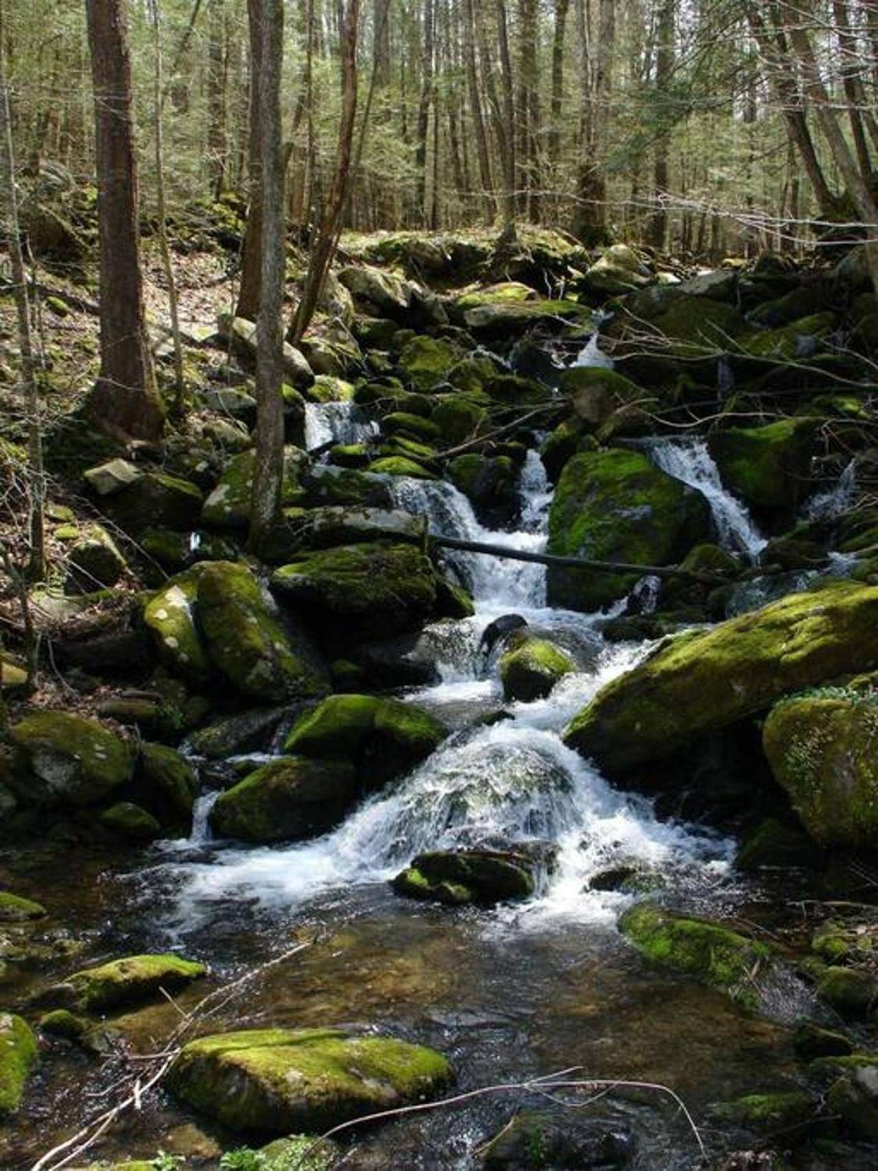 Peace, Serenity & Relaxation In The Smokies! Gatlinburg Buitenkant foto