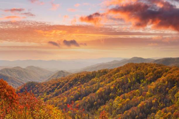 Peace, Serenity & Relaxation In The Smokies! Gatlinburg Buitenkant foto