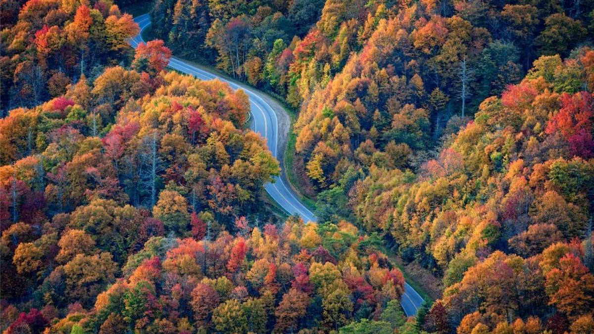 Peace, Serenity & Relaxation In The Smokies! Gatlinburg Buitenkant foto