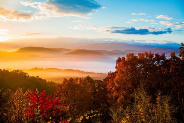 Peace, Serenity & Relaxation In The Smokies! Gatlinburg Buitenkant foto