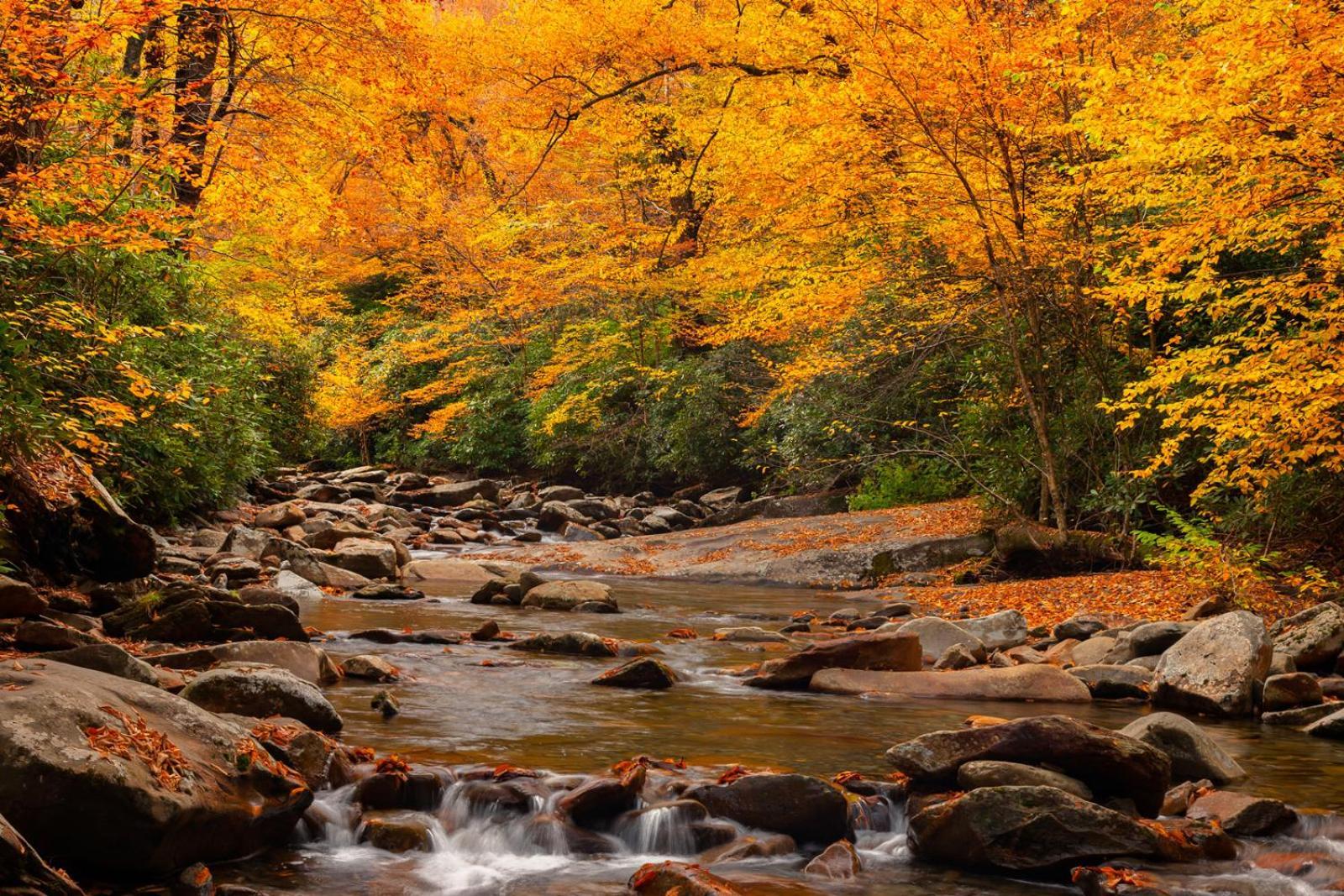 Peace, Serenity & Relaxation In The Smokies! Gatlinburg Buitenkant foto